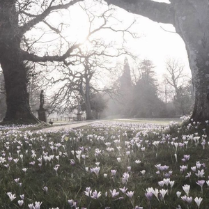 pluggnb type beat (prod. k0wAret4 x miguelsaneko)