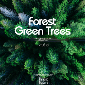 깊은 명상을 하고 싶을 때 듣는 자연의 소리