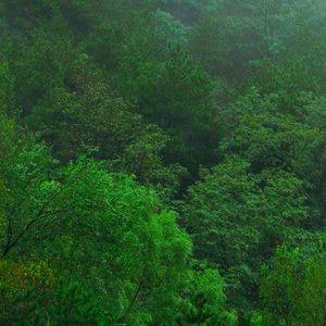 山雨来