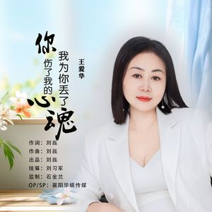 你伤了我的心我为你丢了魂（DJ默涵版）