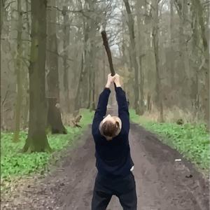Narrenfreiheit