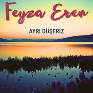 Ayrı Düşeriz