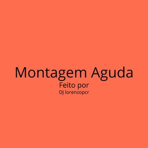 Montagem Aguda (Ultra Slowed)