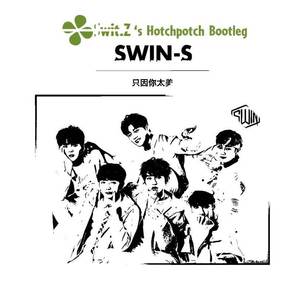 SWIN-只因你太美（四叶草$Ψit.Z remix）