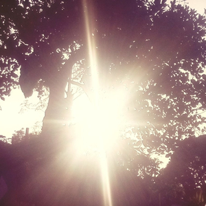 Уничтожь меня