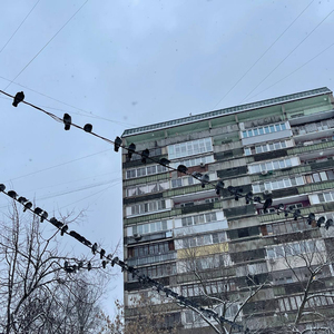 Спички
