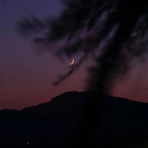 问问问问你的心