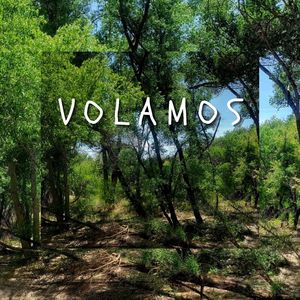 Volamos