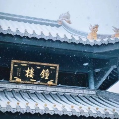 我爱上一个让我奋不顾身的人