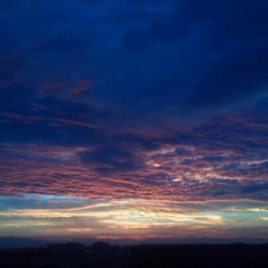 進退 (feat. 重音テト)