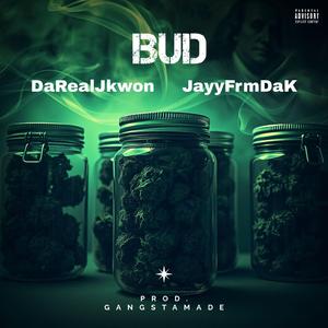Bud (feat. JayyFrmDaK)