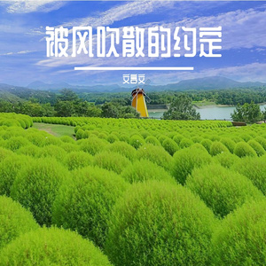 粉笔末在黑板跳舞