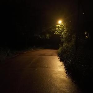 堕落的天之翼使