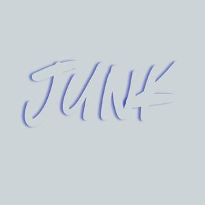 Junk