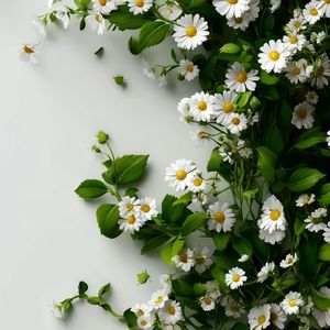 晚风寄信
