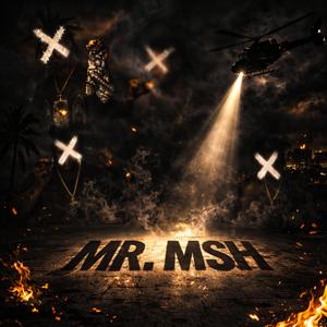 MR. MSH