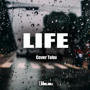 Tobu-Life（EM-MUMU remix）