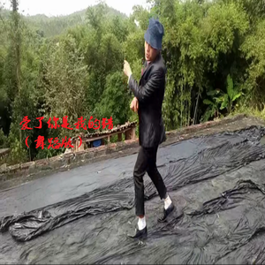 爱了你是我的错（舞蹈版）