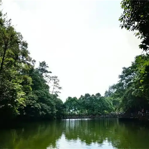 找一个人惺惺相惜 (烟嗓版)