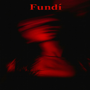 Fundi