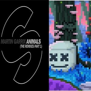 Martin Garrix/Marshmello-Alone&Animals(Mashup Bootleg)（Kkrieger Remix）
