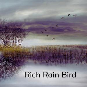 Rich Rain Bird