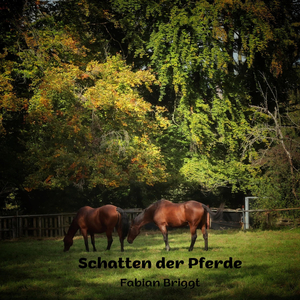 Wo der Morgen Leuchtet