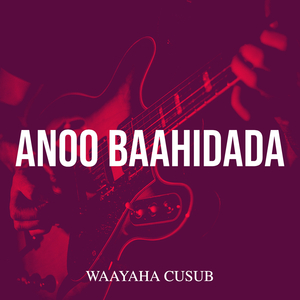 Anoo Baahidada