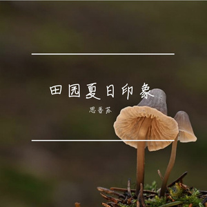 田园夏日印象