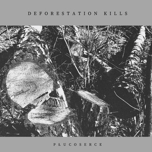 Deforestation Kills