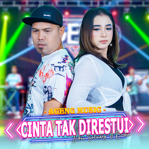 Cinta Tak Direstui