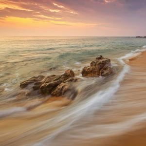 赛马 (放松安神古筝禅音)