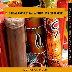 Tribal Drummed Didgeridoo (Ethnic Style)