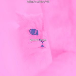 微妙的压力大的猫心情