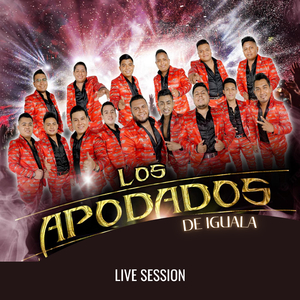 Tributo Romántico de Tierra Caliente: Te Quiero para Mi / Adiós, Adiós Amor / No Te Olvidaré