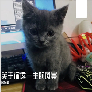 世间美好与你环环相扣