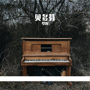 贝多芬（摇滚版）