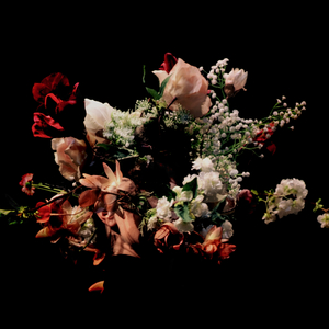 En Revne I Muren Begynder At Synge