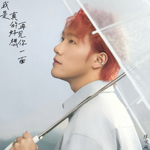 我是真的好想再见你一面