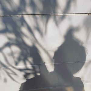 你是不是有点动心