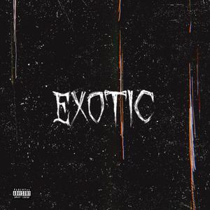 EXOTIC (feat. n0s0ul)