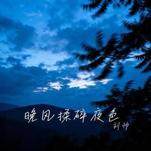 晚风揉碎夜色
