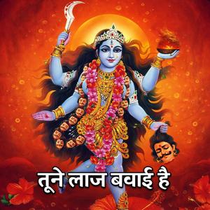 तूने लाज बचाई है