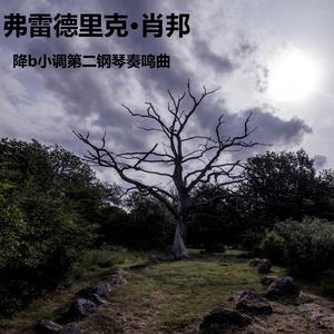 慢板，送葬进行曲