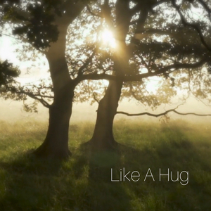 Like a Hug