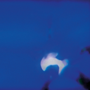 Frammenti di un cielo pulito