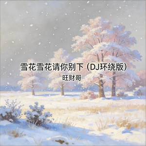 雪花雪花请你别下(DJ环绕版)