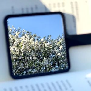 在爱与不爱之间徘徊