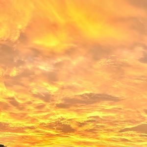 陪你看过的烟火与走过的四季