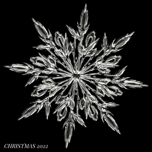 A Merry Little Christmas